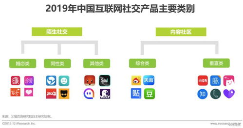 2019年中国互联网社交企业营销策略白皮书 社交产品用户增长放缓